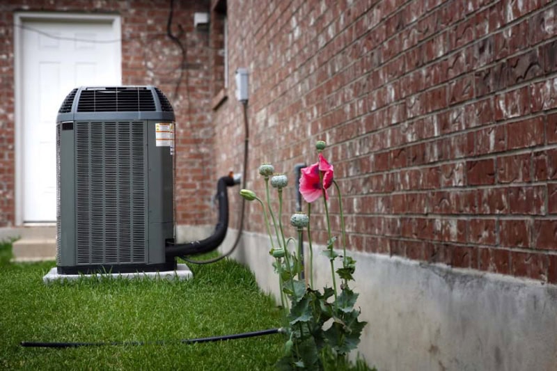 An outdoor side-yard scene along the brick wall of a house.