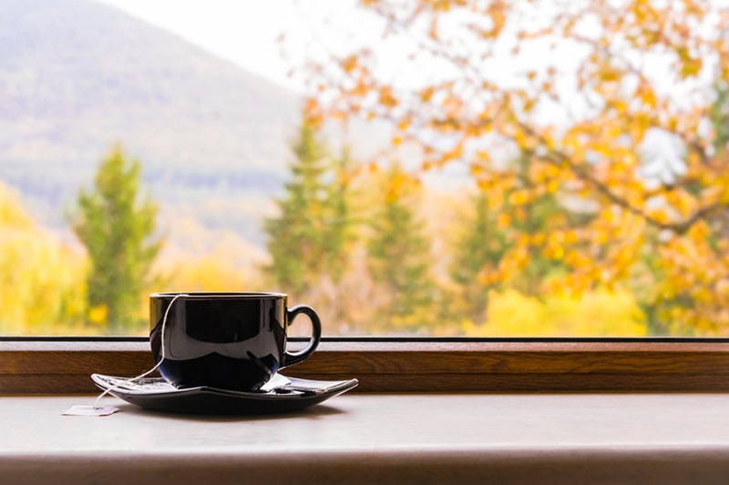 A peaceful, autumn-themed scene from an indoor vantage point.